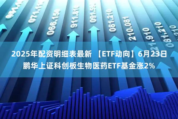2025年配资明细表最新 【ETF动向】6月23日鹏华上证科创板生物医药ETF基金涨2%