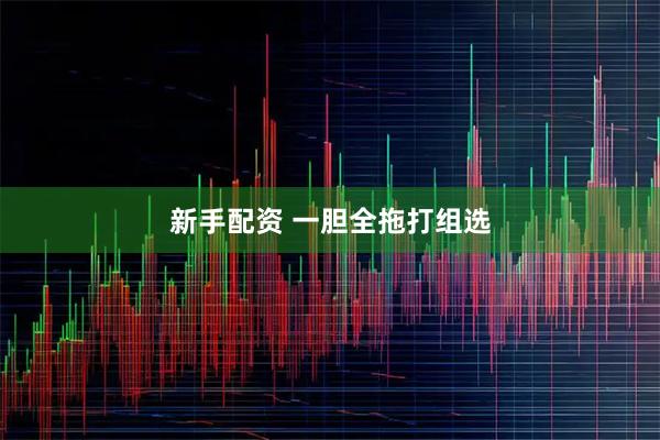 新手配资 一胆全拖打组选